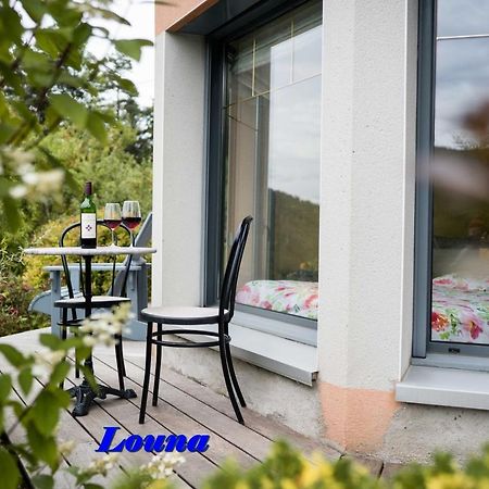 Appartements 5 Personnes Maya Et Louna Xonrupt-Longemer Eksteriør billede