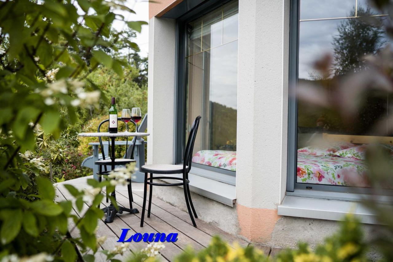 Appartements 5 Personnes Maya Et Louna Xonrupt-Longemer Eksteriør billede