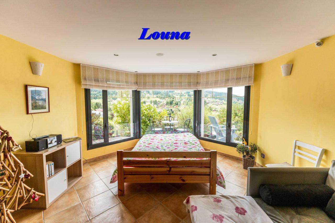Appartements 5 Personnes Maya Et Louna Xonrupt-Longemer Eksteriør billede