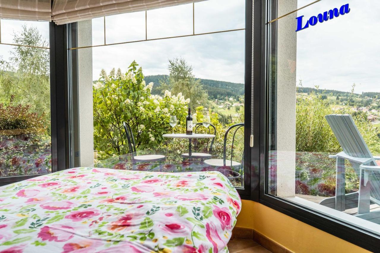 Appartements 5 Personnes Maya Et Louna Xonrupt-Longemer Eksteriør billede