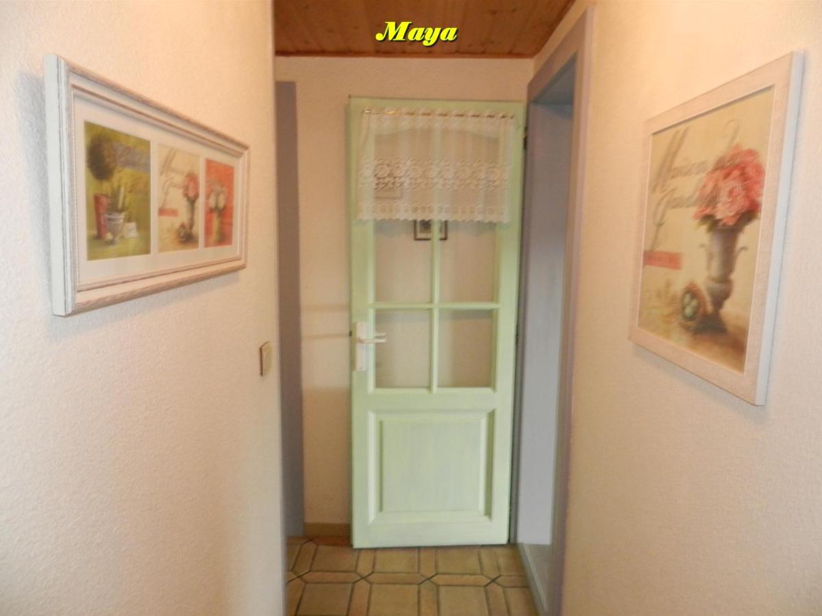 Appartements 5 Personnes Maya Et Louna Xonrupt-Longemer Eksteriør billede