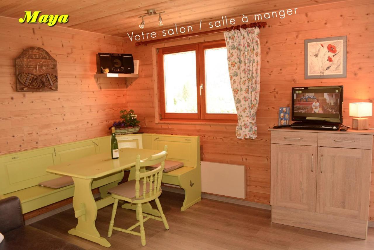 Appartements 5 Personnes Maya Et Louna Xonrupt-Longemer Eksteriør billede