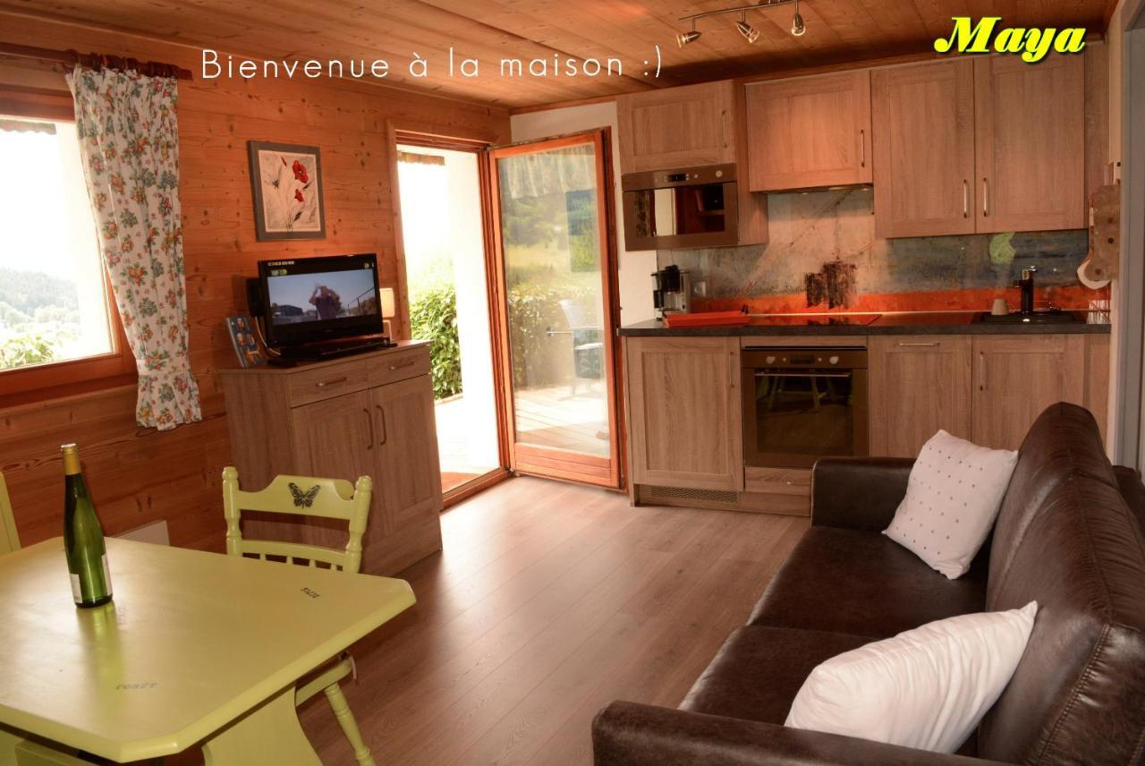 Appartements 5 Personnes Maya Et Louna Xonrupt-Longemer Eksteriør billede